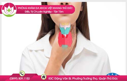 amidam-co-dom-trang