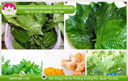 Cách chữa bệnh trĩ bằng lá lốt