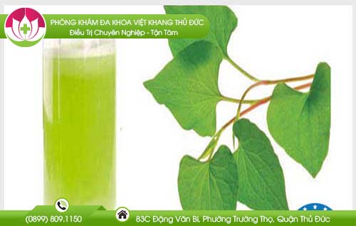 Mách bạn cách chữa bệnh trĩ bằng rau diếp cá - Hiệu quả đến 99%