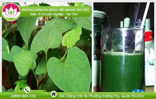 cach-chua-benh-tri-ngoai-bang-rau-diep-ca