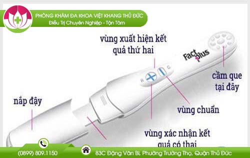 cach-doc-que-thu-thai-dung-cach