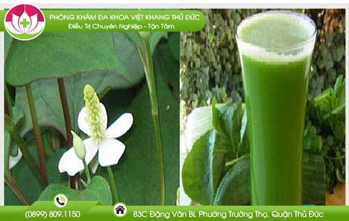chua-tri-noi-bang-rau-diep-ca-co-duoc-khong