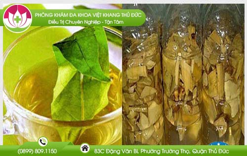 cong-dung-cua-cay-mat-gau-cho-ban-nhieu-bat-ngo