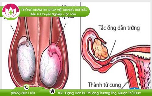 dia-chi-benh-vien-chua-benh-tri-khanh-hoa