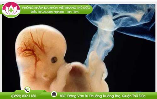 hinh-anh-thai-6-tuan-tuoi