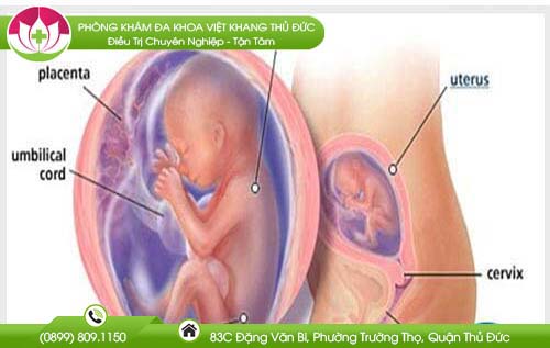 pha-thai-4-thang-tuoi