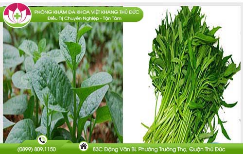 Rau mồng tơi và rau muống có những công dụng gì?