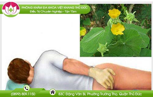 tac-dung-tuyet-voi-cua-cay-coi-xay-it-nguoi-biet