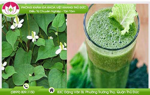 thuc-hu-chuyen-an-rau-diep-ca-bi-vo-sinh