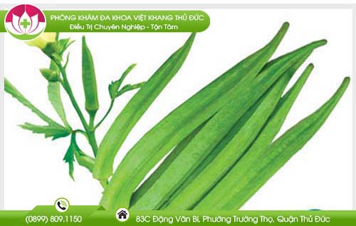 Vì sao đậu bắp cần phải có trong mỗi bữa ăn gia đình bạn?