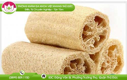 Xơ mướp có thật sự chữa được bệnh trĩ?