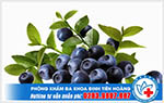 Công dụng chữa bệnh trĩ của quả việt quất như thế nào?