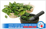 Phụ nữ mang thai dùng diếp cá điều trị bệnh trĩ có tốt không?